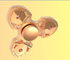 Tri-Spinner Fidget Toy Plastic EDC Hand Spinner For Autism and ADHD,fidget spinner